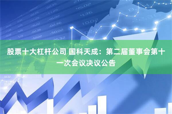 股票十大杠杆公司 国科天成：第二届董事会第十一次会议决议公告