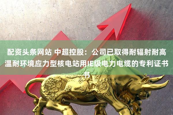 配资头条网站 中超控股：公司已取得耐辐射耐高温耐环境应力型核电站用IE级电力电缆的专利证书